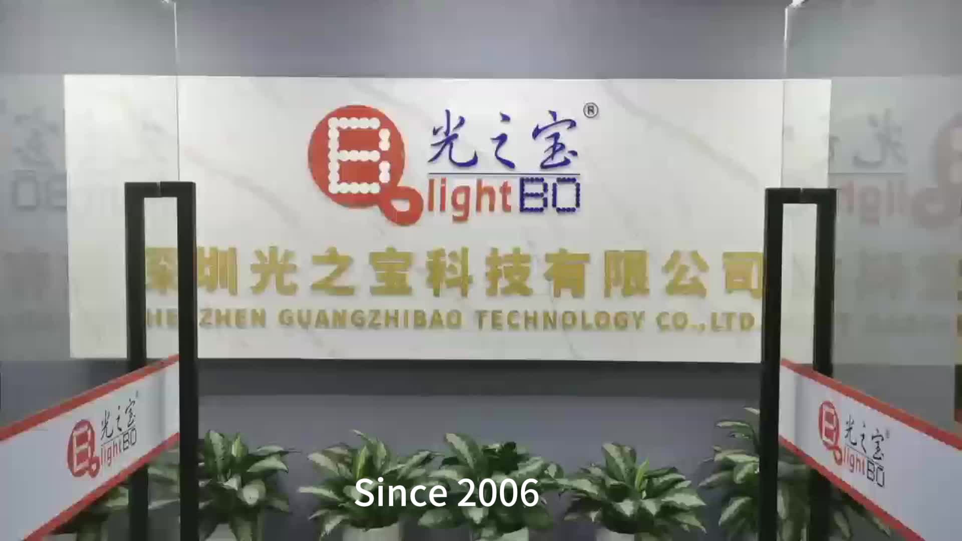 Barra de luz LED de 10 segmentos