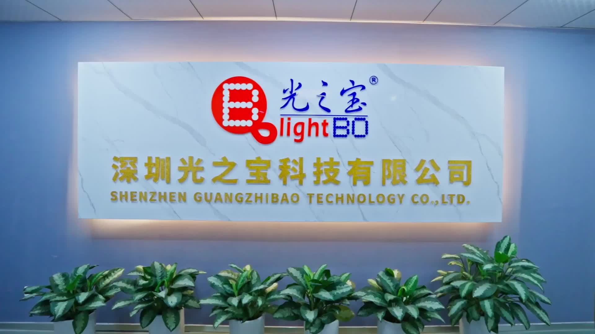 Perfil de la empresa Lightbo